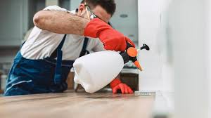 Best Termite Inspection and Treatment  in Aberdeen, WA